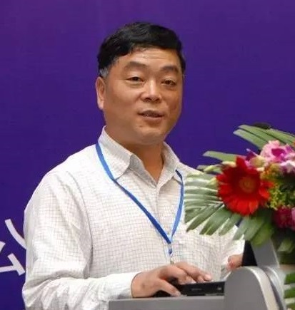 专家顾问团队：王志良（教授）